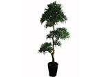 Artificial Podocarpus