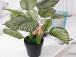 Artificial Calathea