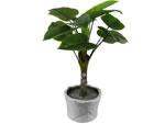 Other Artificial Plants