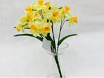 Artificial Narcissus