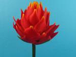 Other Artificial Flowers